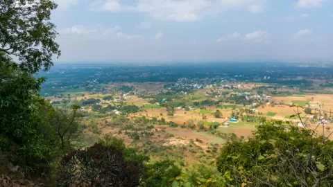 Yelagiri Hills