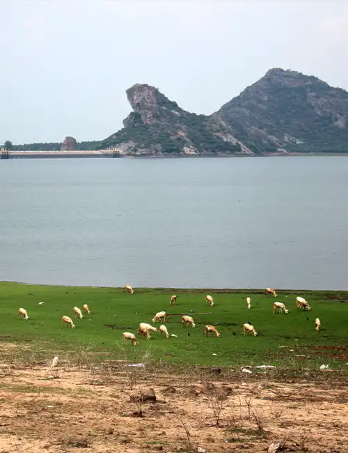 Amaravathi Reservoir