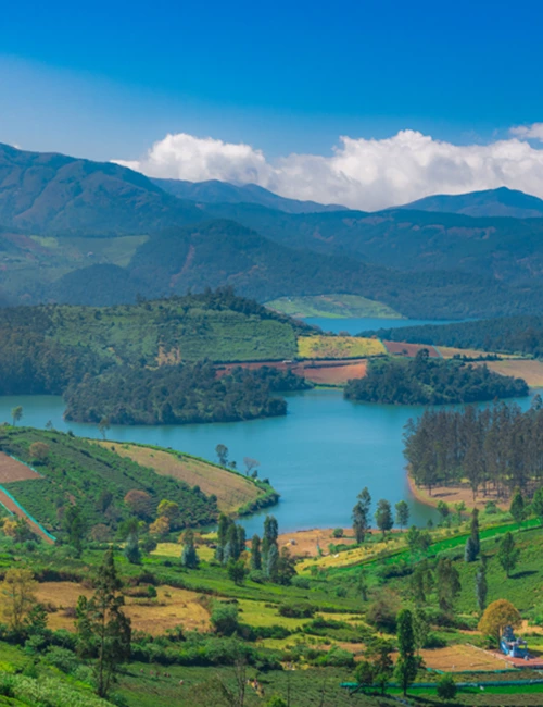 Avalanche Lake, Ooty