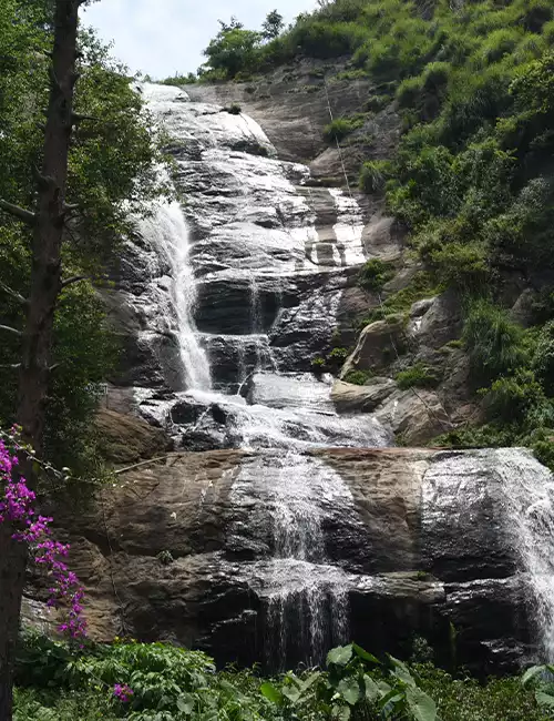 பியர் ஷோலா நீர்வீழ்ச்சி