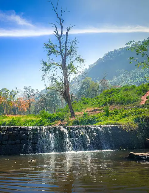 கோயம்புத்தூர்