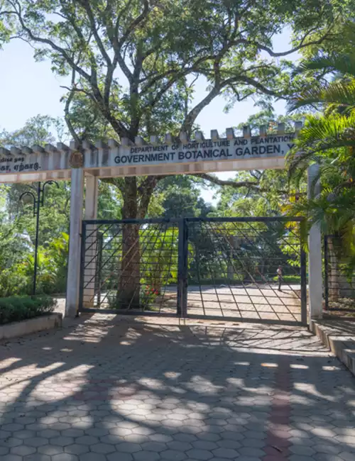 Government Botanical Garden, Yercaud