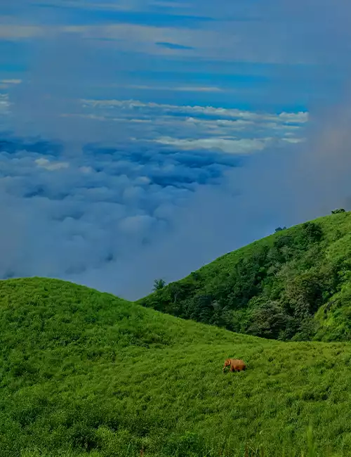 கூடலூர்