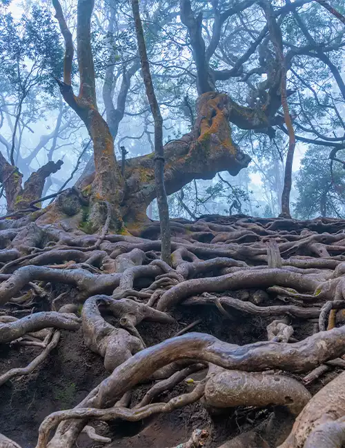 குணா குகை