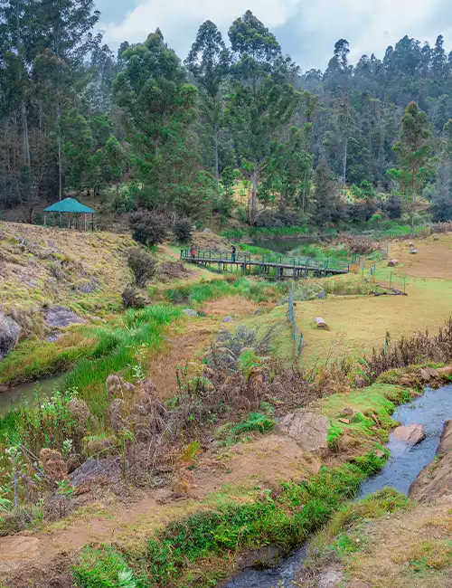 ஆஃப்-ரோடிங்