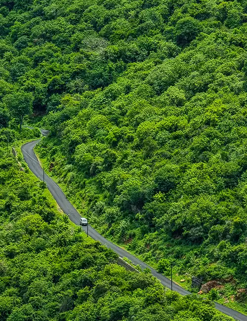 Pachamalai Hills