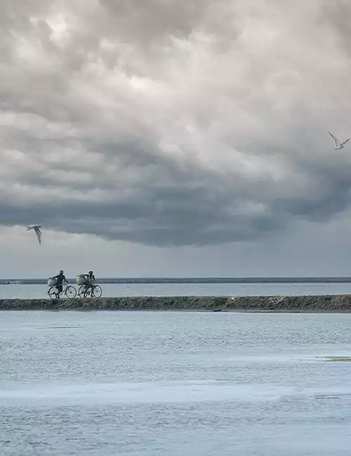 Point Calimere Wildlife and Bird Sanctuary