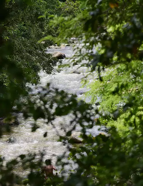 Puliyancholai Waterfalls