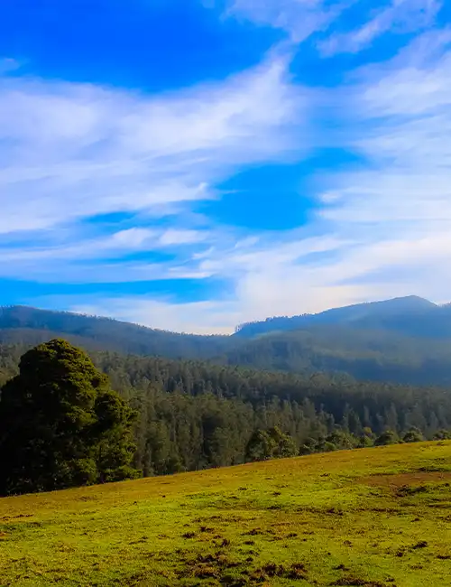 Shooting Point, Ooty