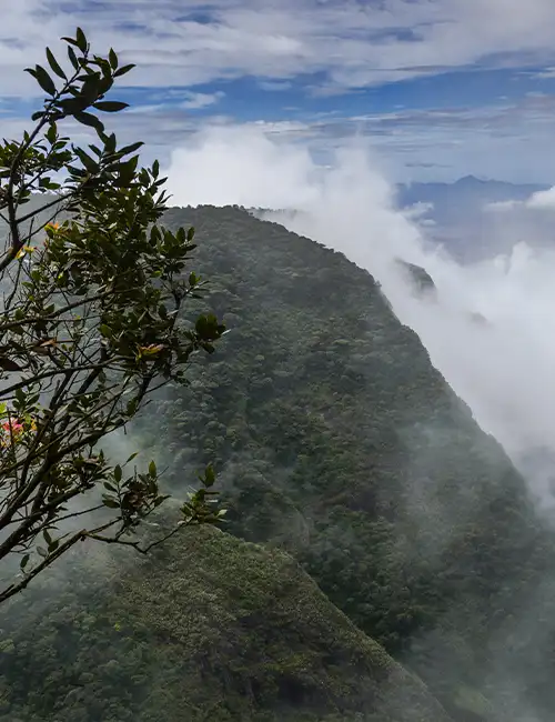 Silent Valley View