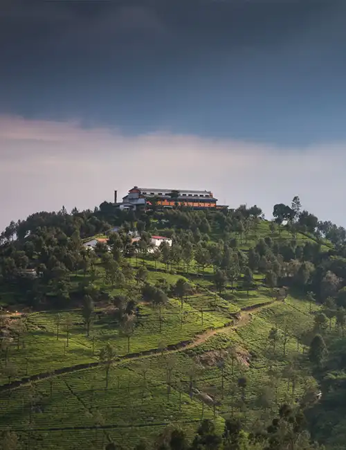 Tea Museum / Tea Factory, Ooty