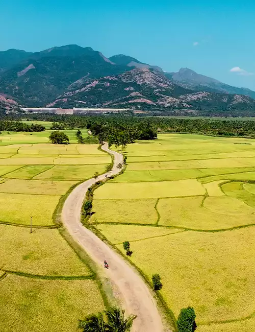 Tenkasi District