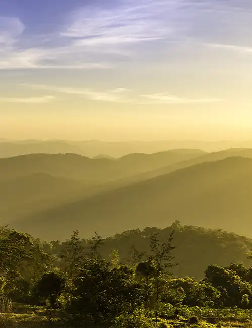 The Cardamom hills - Kodaikanal