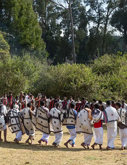 தோடர்கள் - பழங்குடிகள் அனுபவம் 