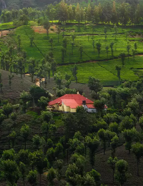 Valparai