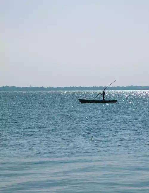 Veeranam Lake