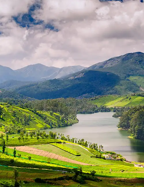 மேற்கத்திய நீர்பிடிப்பு