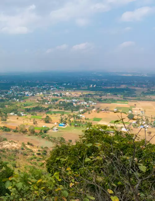 Yelagiri Hills